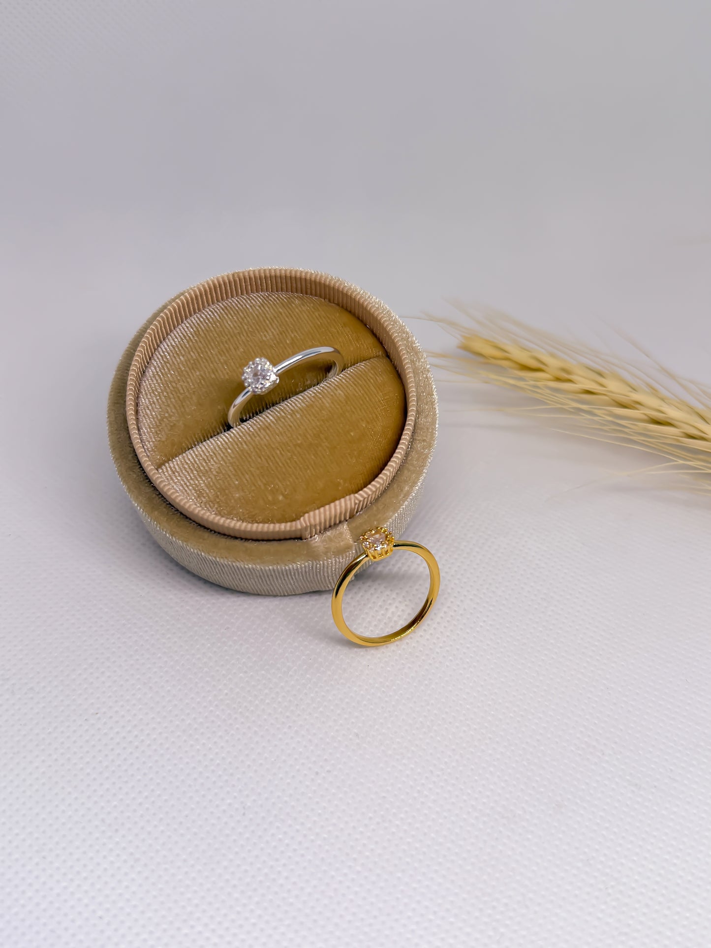Anillo Punto de Luz