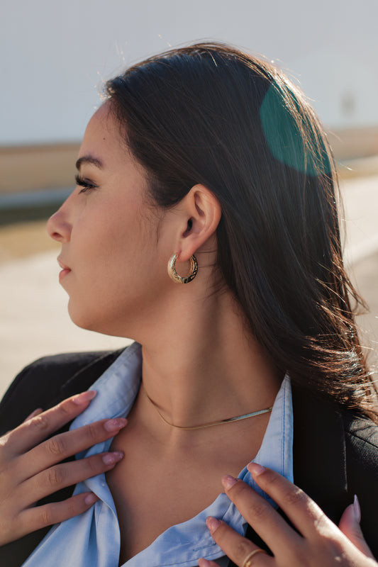 Caravanas Aro Brillante