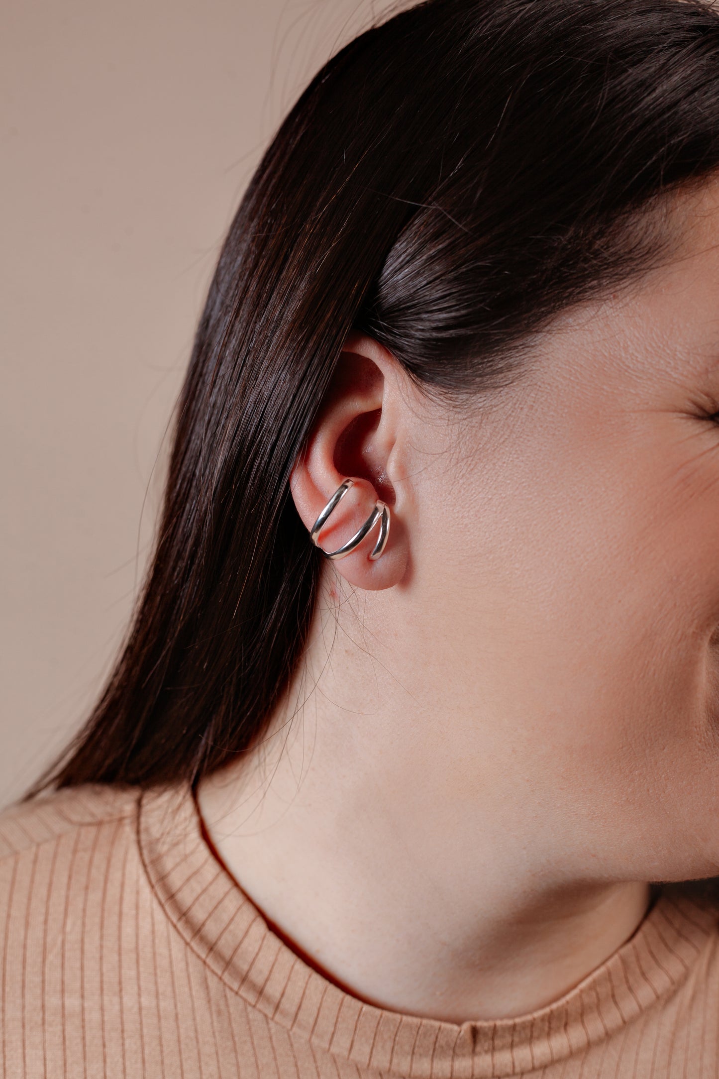 Caravanas Earhook Noe