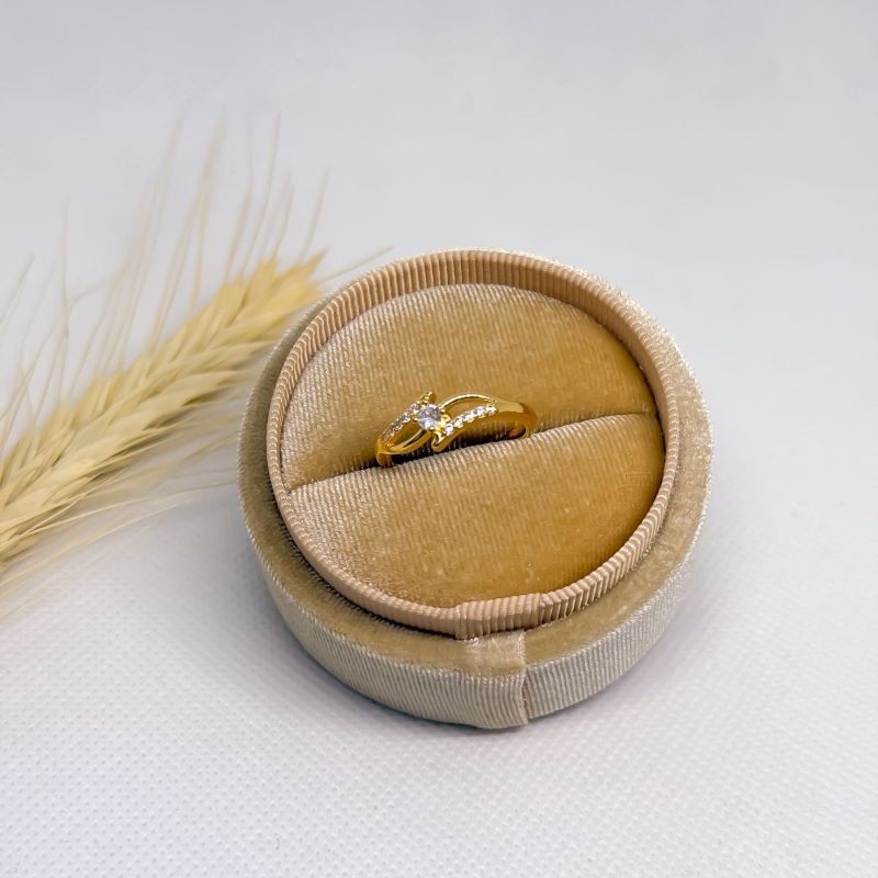 AN ZIRCONIAS