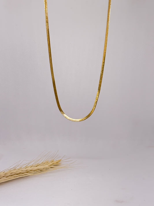 Collar Fita