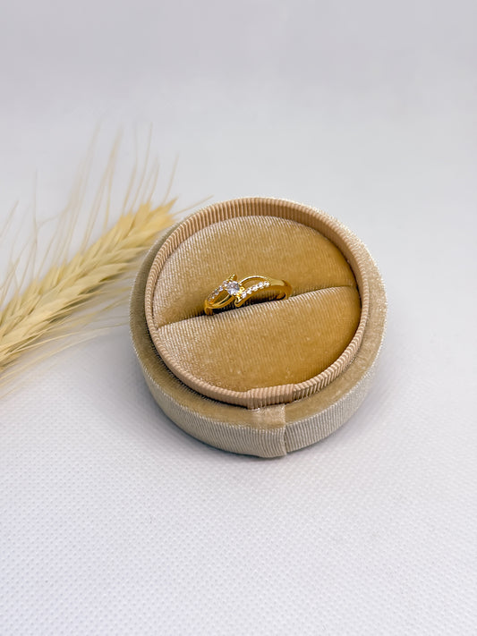 Anillo Movimiento