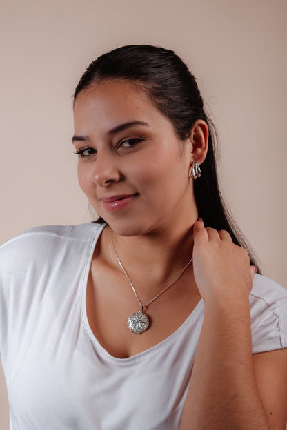 Collar Aurora